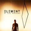 eLEmEnT